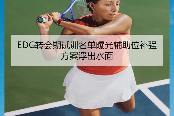 EDG转会期试训名单曝光辅助位补强方案浮出水面